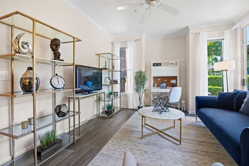 Living Room at Alden Place at South Square, Durham, NC 27707