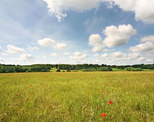 Knight Frank North Hampshire Estate Agents - office page banner image