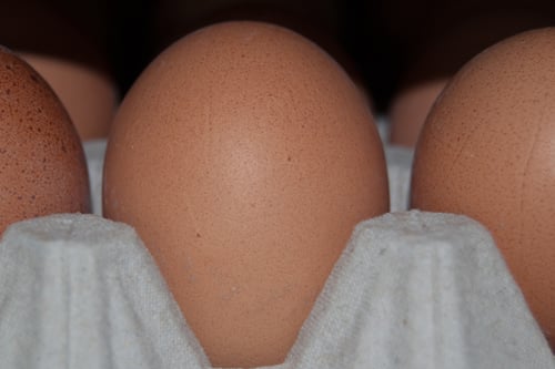 Eieraufbereitung