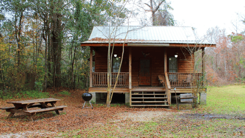 rustic looking cabin in the woods