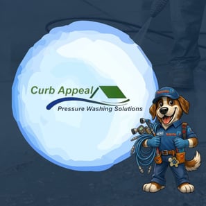 Curb Appeal Pressure Washing Solutions serving Dallas, Georgia and Metro Atlanta with professional residential and commercial exterior cleaning services.