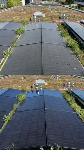 Avant / Après : transformation complète d'une installation solaire. Élimination totale de la mousse et des saletés grâce à notre nettoyage écologique à l'eau osmosée pure, sans produits chimiques ni risque de rayure. Rendement optimisé, surfaces prot