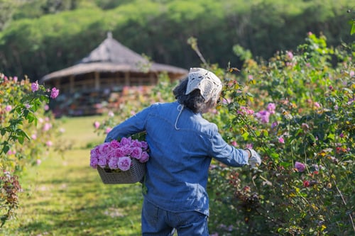 women in her garden