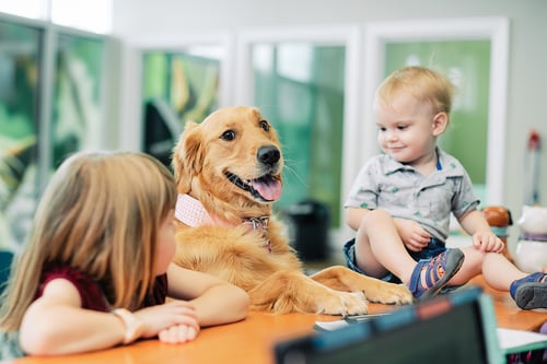 PetVet365 Pet Hospital Pittsburgh/Shadyside at The Junction
