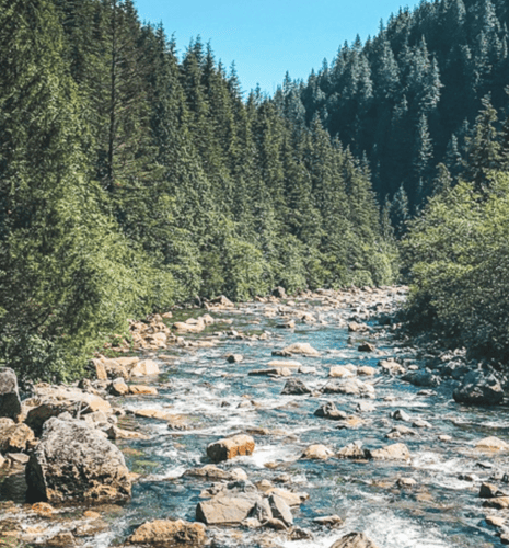 A tranquil river flows through a rocky landscape, surrounded by lush green forest under a bright blue sky. The scene conveys serenity and natural beauty.