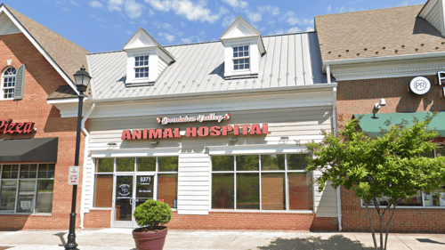 Dominion Valley Animal Hospital Exterior