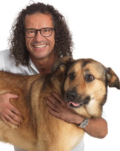 Tierambulanz Mattersburg OG -  Dr. Klaus Lehmann