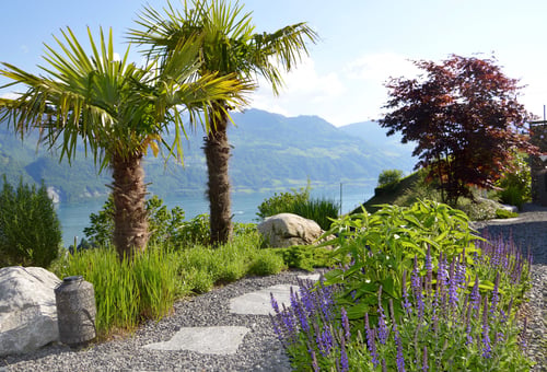 Begruenung_Palmen_Ahorn_Bluetenstauden_Natursteine