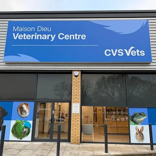 Maison Dieu Veterinary Centre