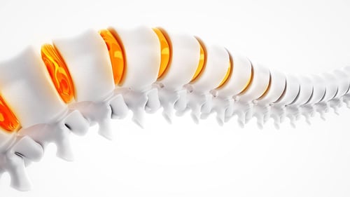 Chiropractic Care in Las Vegas, Chiropractors in Las Vegas