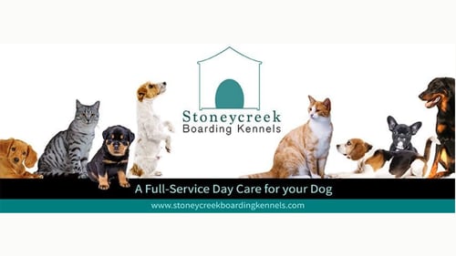Various dogs and cats next to Stoneycreek Boarding Kennels logo