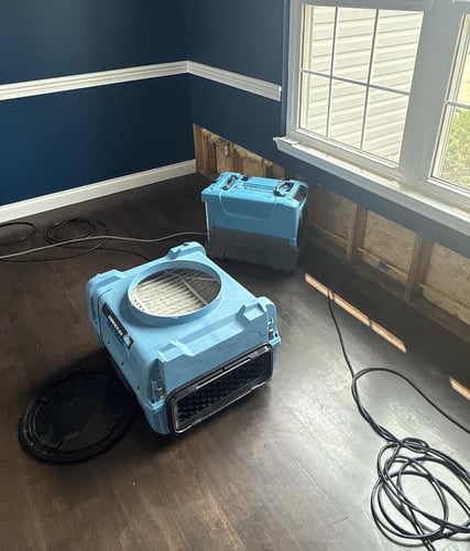 Our Basement Mold Remediation Process