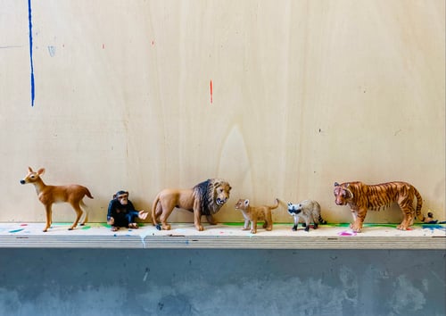 Aufstellung über Tiere