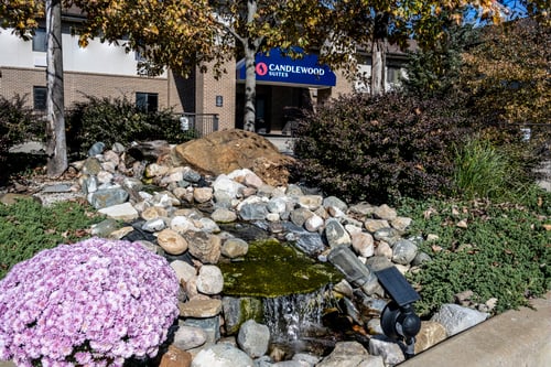 Guests can stay close to Michigan State University.