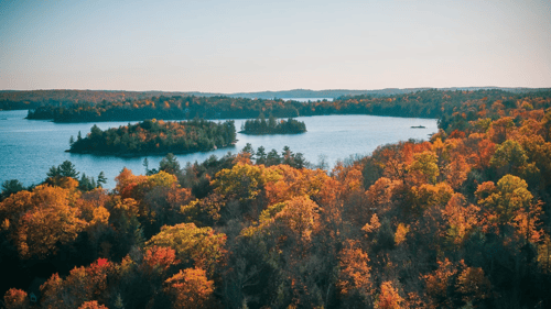 colourful autumn trees by water.