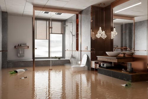 water damage restoration in Greensboro