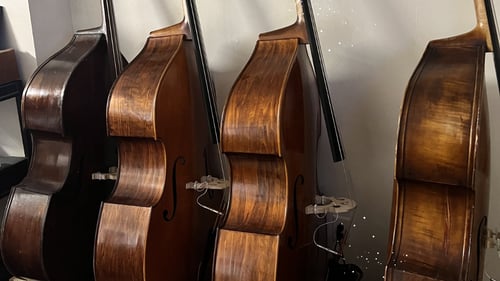Closeups of various acoustic basses