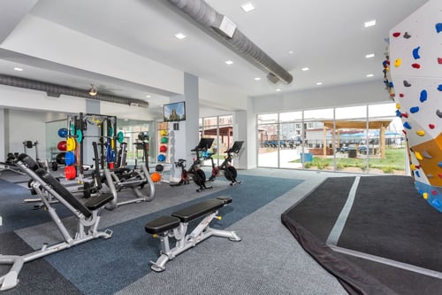 Fitness center at Westwood Green Apartments with cardio machines and strength training equipment.
