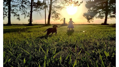 Little girl with puppy