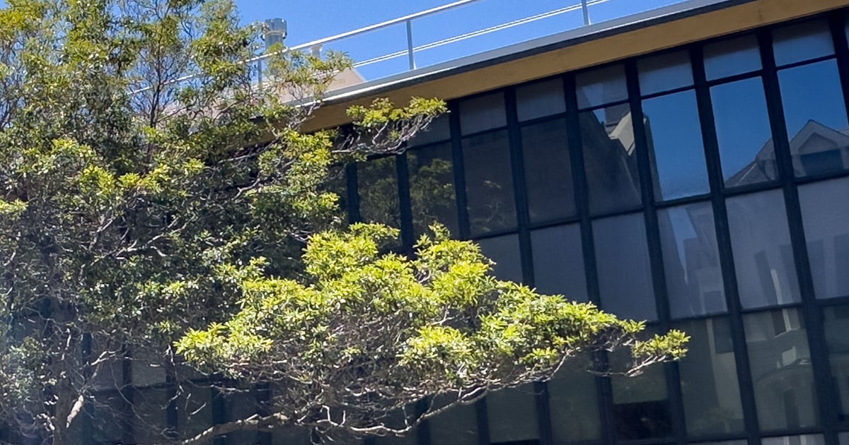San Francisco California Center Lab | Laboratory in San Francisco, CA ...