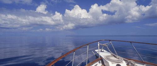 Domenico Capezzuto Headshot Image