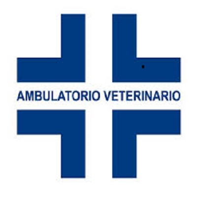 Ambulatorio Veterinario Le Coccinelle Foto Web 1