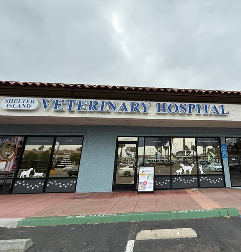 Shelter Island Veterinary Hospital - Exterior