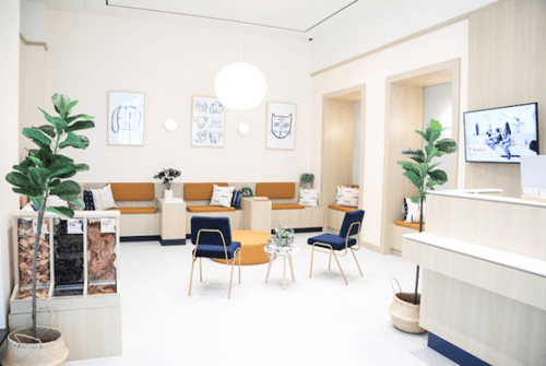 capitol hill bond vet  lobby staff friendly warm compassionate