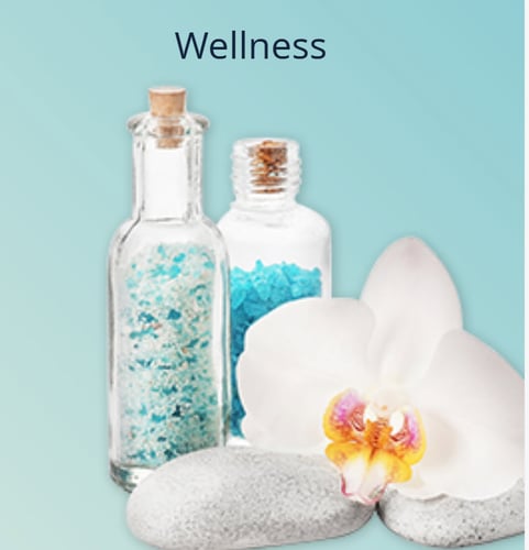 Wellness Artikel