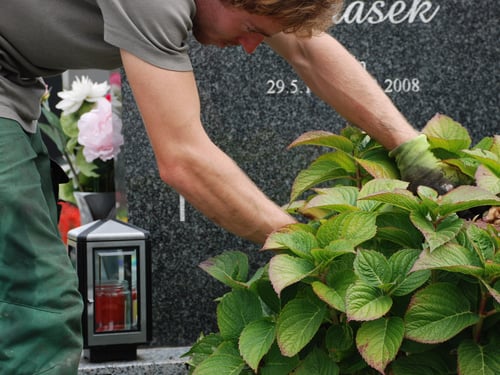 Blumen Schuster in Meidling - Christine Schuster
