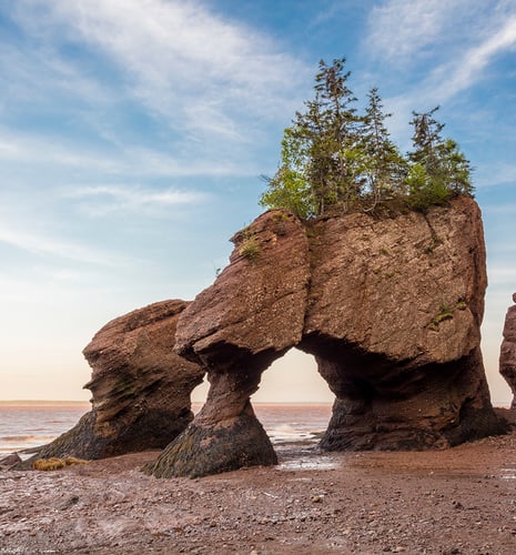 Rock formations at Hopewell Rocks, Canada, with trees on top, stand on a reddish sandy beach. The sky is bright with scattered clouds.