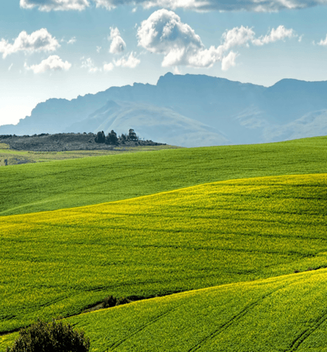 A open lush field with mountains in the background and a cloudy blue sky.