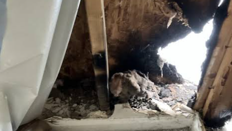 Fire Damage Restoration 1 Reno-Tahoe
