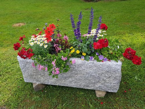 arrangement floral