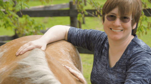 Massage for Senior & Arthritic Horses