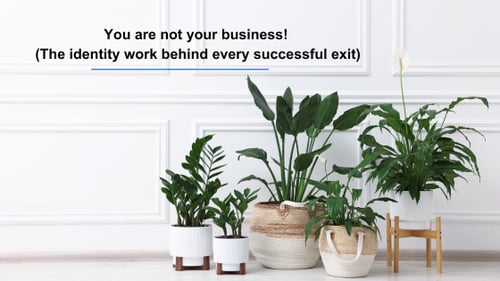 A minimalist image with text, "You are not your business! (The identity work behind every successful exit)." It features a potted plant casting shadows in soft lighting.