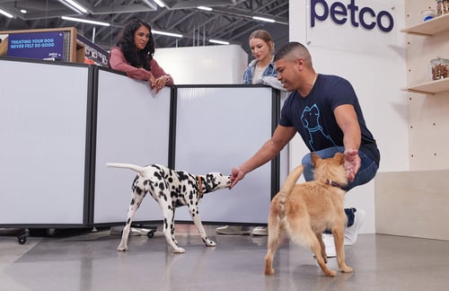 Trainer with two dogs at a training class.