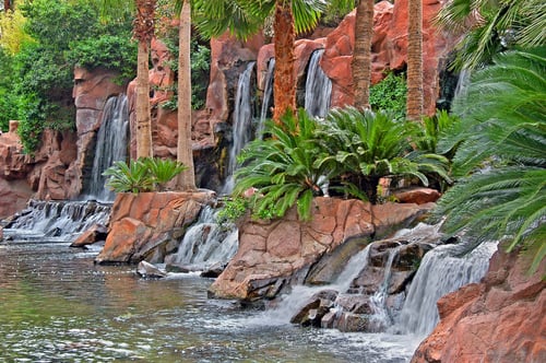 Flamingo Hotel Las Vegas Pools - Family Pool Waterfalls and Slides