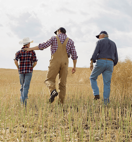 Three people walk through a wheat field under a cloudy sky. They wear plaid shirts and hats, exuding a sense of familial connection and rural life.