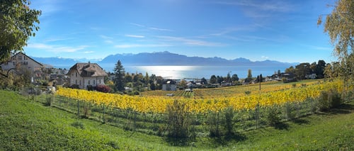 Gérance immobilière à Pully - Vue sur le lac