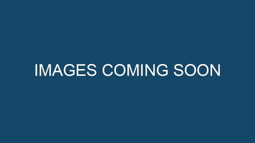 Evans Halshaw Images Coming Soon