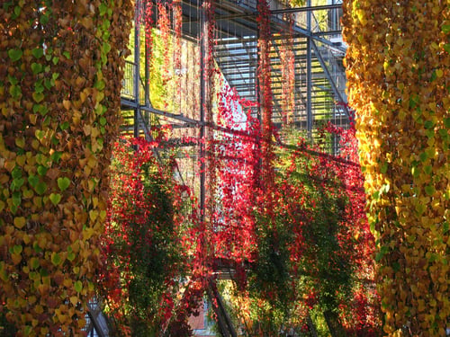 MFO Park - www.schuermann-gaerten.ch