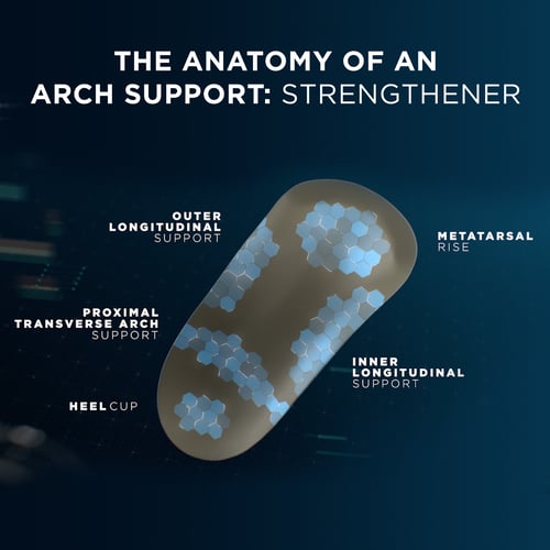 the anatomy of an arch support strengthener