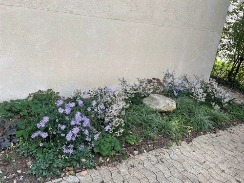 AZ Garten+Haus Service GmbH