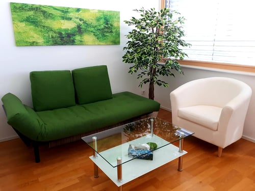 Mag. Angelika Eiter_Therapieraum