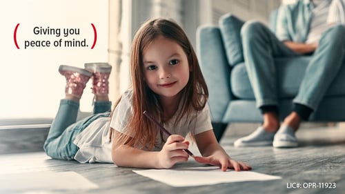 If you have problems with pests we can help. Bell Pest Control.