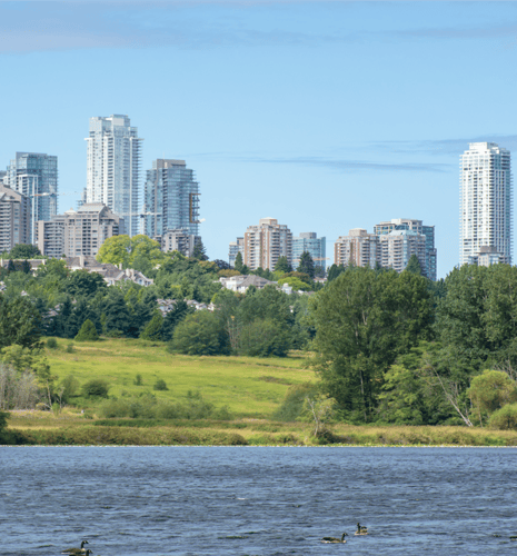 A serene landscape with a river in the foreground, a grassy field, and dense trees leading to a city skyline of tall buildings under a blue sky.