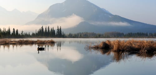 Guelph branch of RBC Dominion Securities Inc.