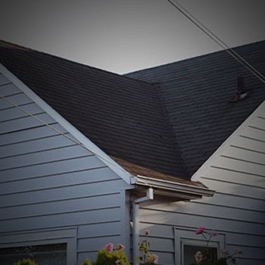 Residential home with light gray horizontal siding.