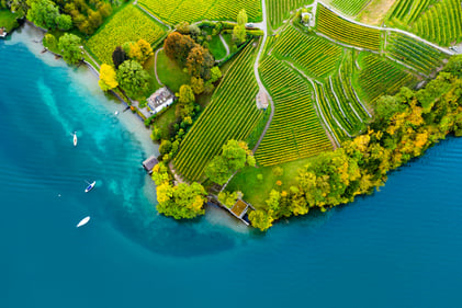bird's eye view of green land meeting blue water
